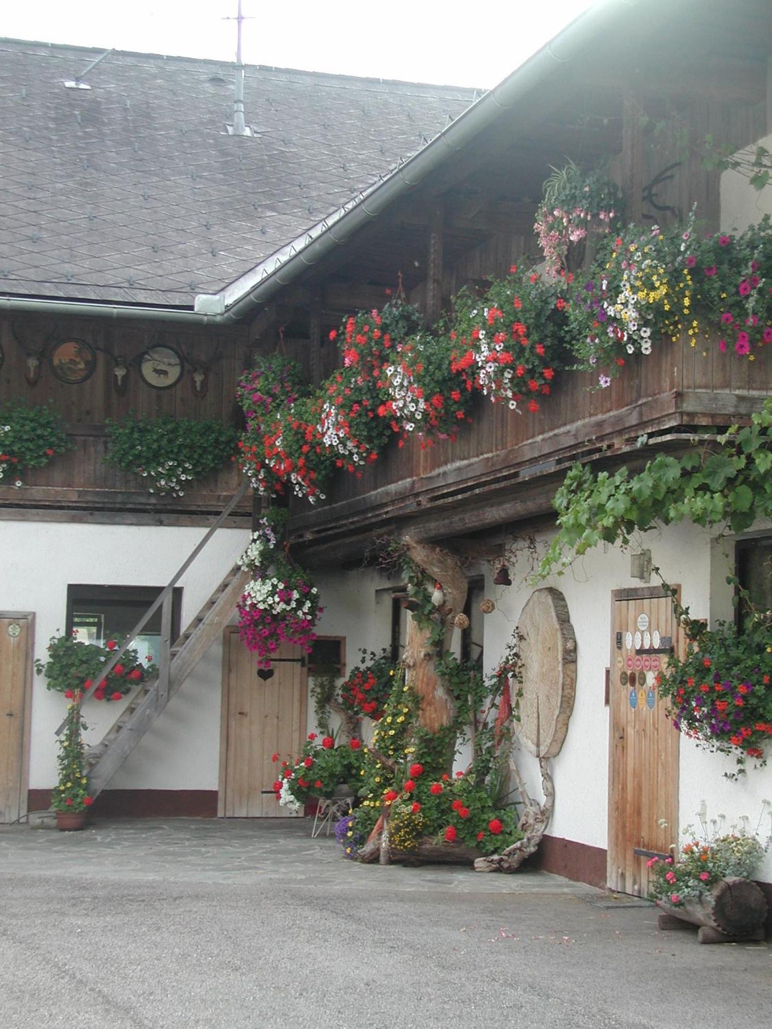 Ferienhof Unterfuehrholzergut Klaus an der Pyhrnbahn Экстерьер фото